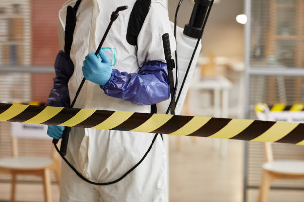 Professional Sewage Cleanup technician working in Reedsville, WI